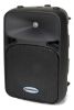 Picture of Samson AURO D210A