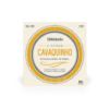 Picture of D'ADDARIO Cavaquinho Strings Stainless Steel