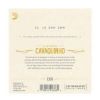 Picture of D'ADDARIO Cavaquinho Strings Stainless Steel