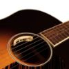 Picture of LR BAGGS OEM Anthem Internal Tru Mic System With Element Pickup