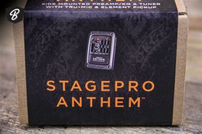 Picture of LR Baggs Stagepro Anthem Side-Mounted Pickup