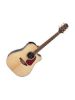 Picture of Takamine GD71CENAT