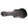 Picture of Bergen Acoustic Guitar Case Black Snake Skin