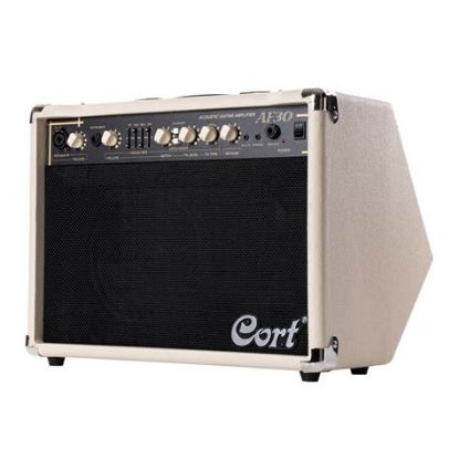 Picture of CORT Acoustic Guitar Amplifier 30W