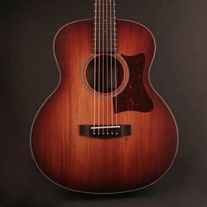 Picture of Cort Acoustic Electric Guitar with Solid Blackwood Top