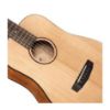 Picture of Cort EARTH MINI Acoustic Travel Guitar
