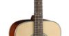Picture of Cort EARTH 60 Series Acoustic-Electric Guitar
