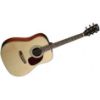 Picture of Cort EARTH 60 Series Acoustic-Electric Guitar
