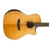 Picture of Cort Gold Edge Natural Acoustic Guitar with Case