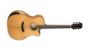 Picture of Cort Gold Edge Natural Acoustic Guitar with Case