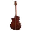 Picture of Cort GOLD-A8 Acoustic Guitar with Case