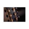 Picture of Cort GOLD-PASSION NAT with Case