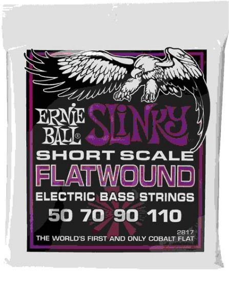Picture of 4-String Bass Power Slinky Flats Short Scale 50-110