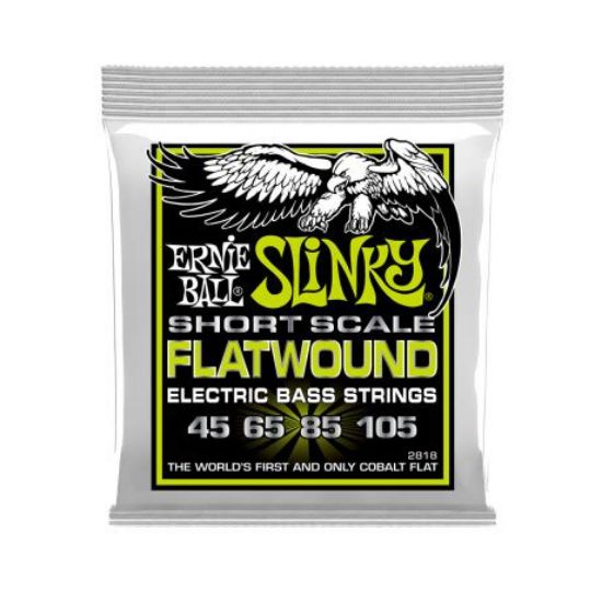Picture of 4-String Bass Regular Slinky Flats Short Scale 45-105