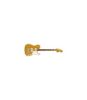 Picture of Limited Edition Paranormal Troublemaker Telecaster Deluxe