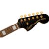Picture of Limited Edition Paranormal Troublemaker Telecaster Deluxe