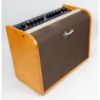 Picture of Acoustic 100 Amplifier