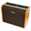 Picture of Acoustic 100 Amplifier