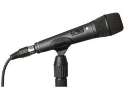 Picture of Rode M2*Sh Demo - Live Performance Condenser Mic