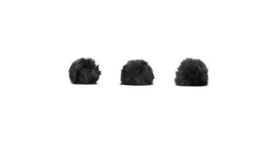 Picture of Rode Mini Fur Pop Filter For HS-1