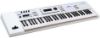 Picture of Roland JUNO-DS 61 Synthesizer