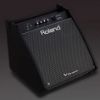 Picture of Roland PM-200 Personal V-Drum Percussion Monitor